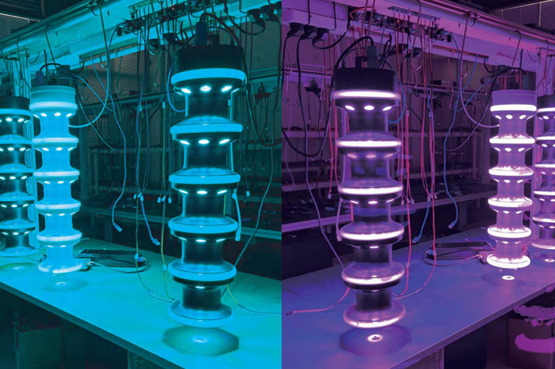 product-description2