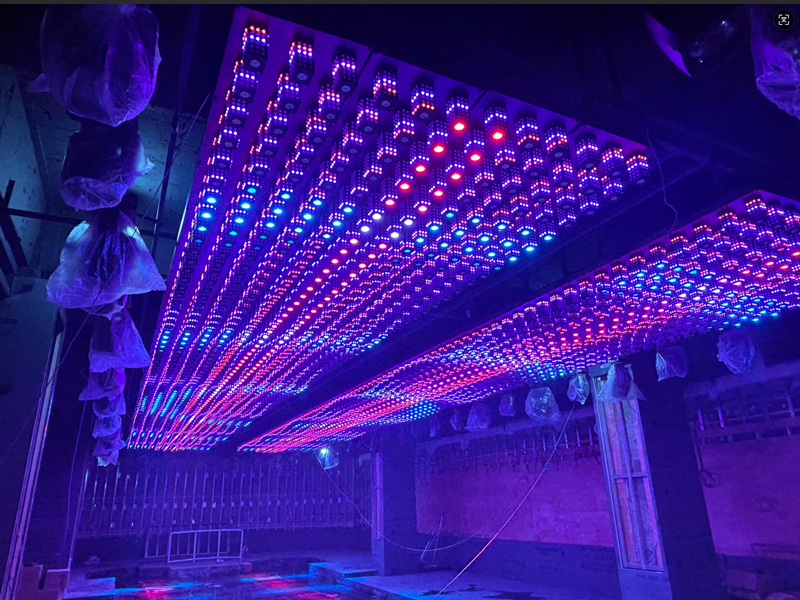 product-description9